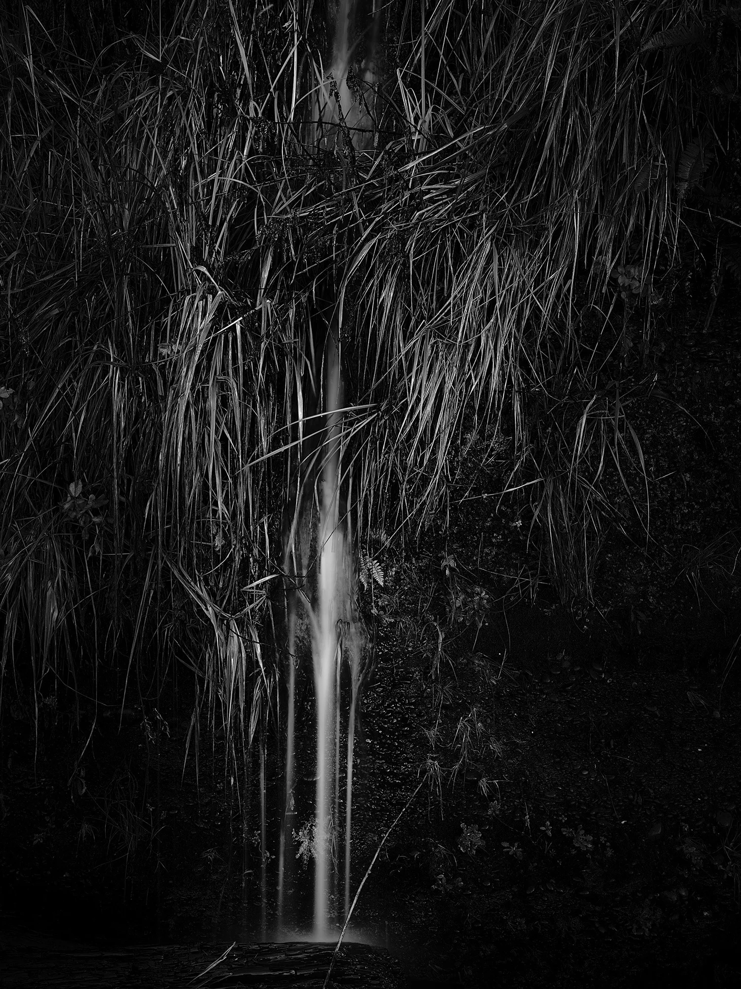 Flowing Water in cliffside grass